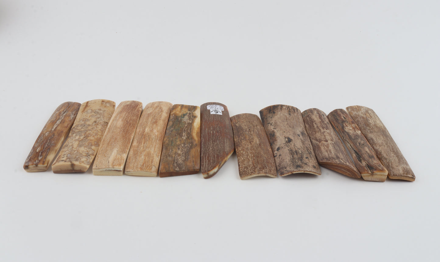 Natural mammoth bark pieces