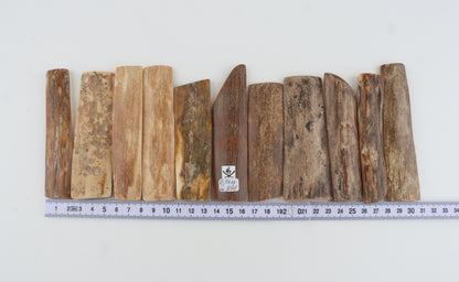 Natural mammoth bark pieces