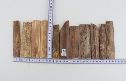 Natural mammoth bark pieces