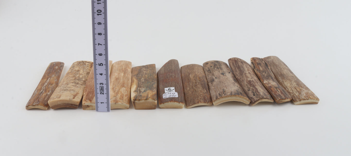 Natural mammoth bark pieces