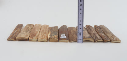 Natural mammoth bark pieces