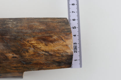 Brown-orange mammoth bark