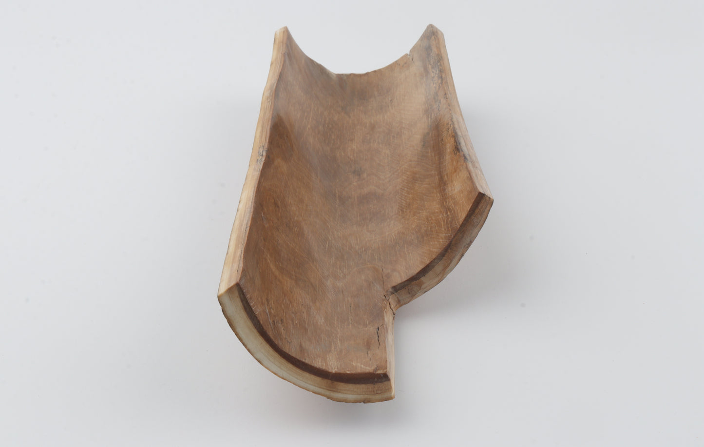 Brown-orange mammoth bark