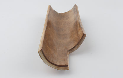 Brown-orange mammoth bark