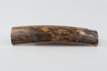 Brown-orange mammoth bark