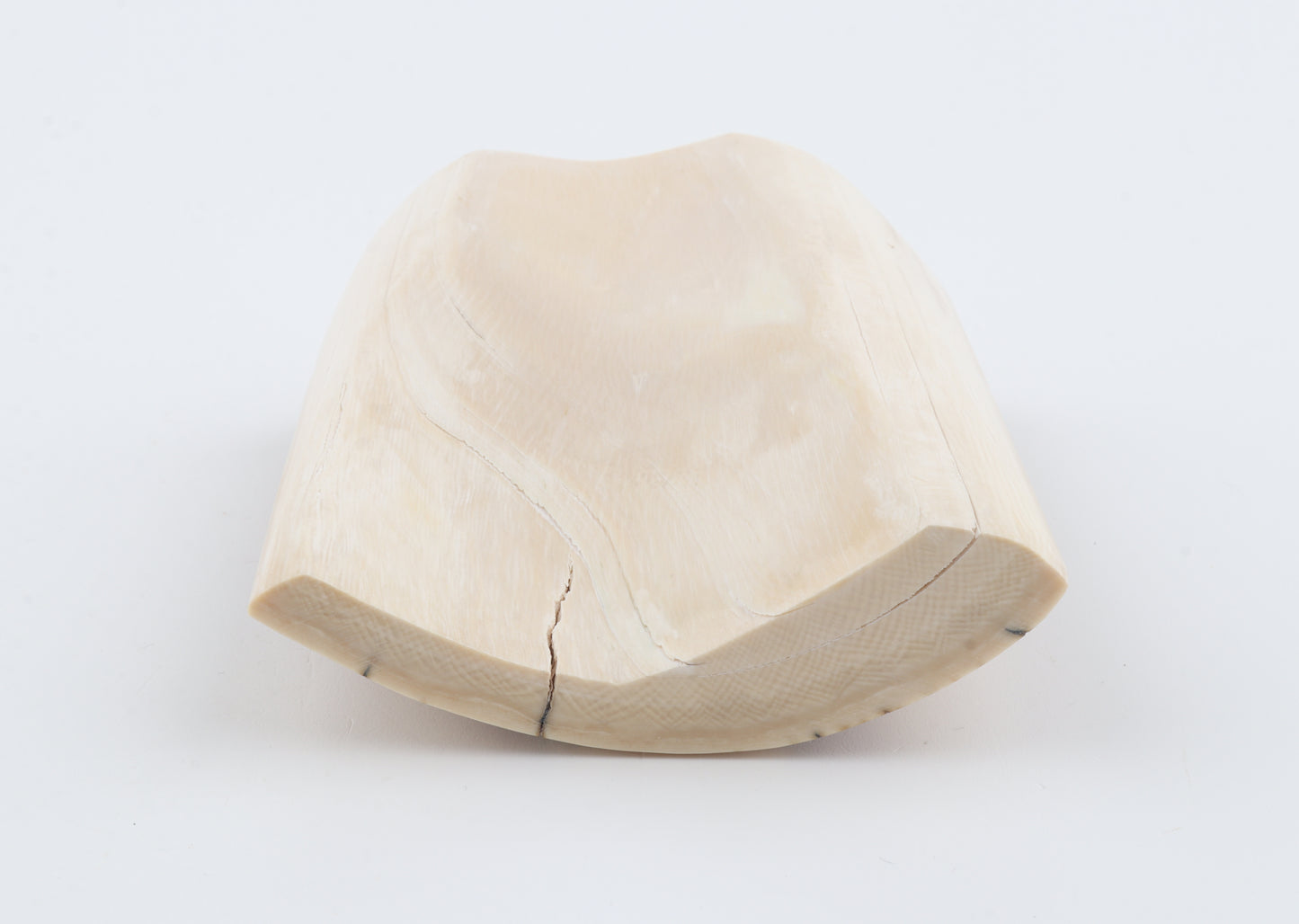 Natural mammoth ivory piece