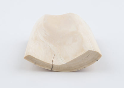Natural mammoth ivory piece