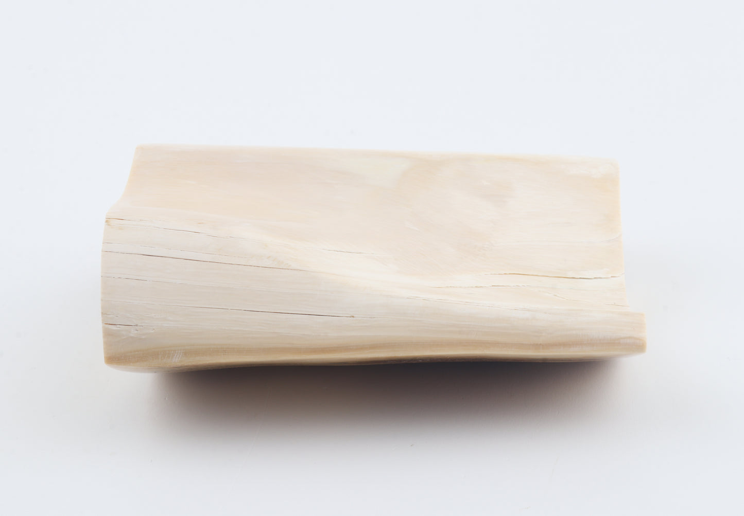 Natural mammoth ivory piece