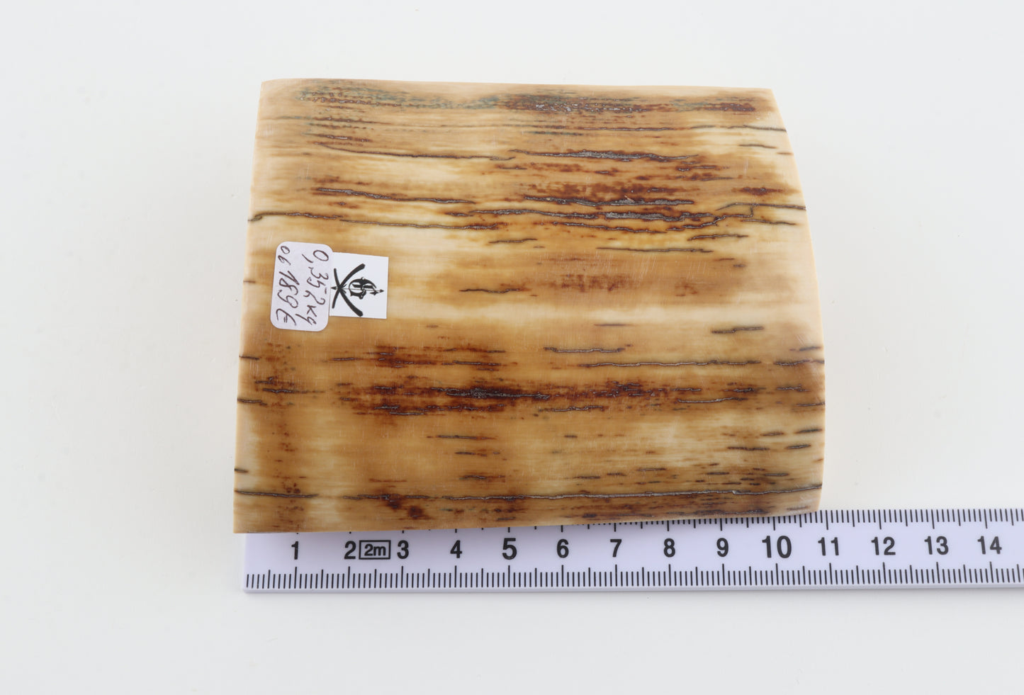 Natural mammoth ivory piece