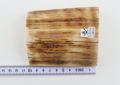 Natural mammoth ivory piece