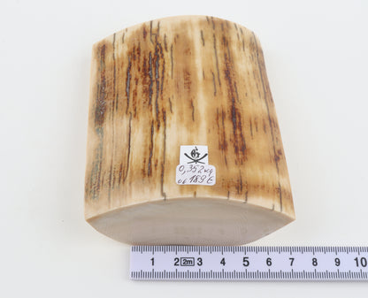 Natural mammoth ivory piece