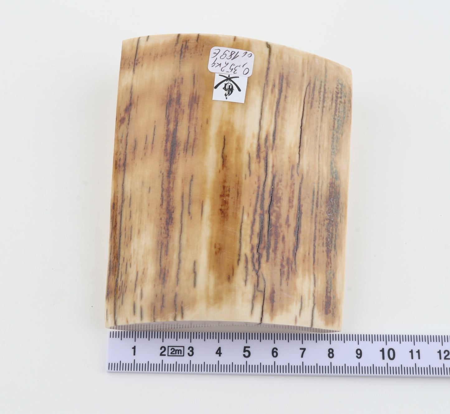 Natural mammoth ivory piece
