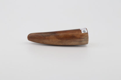 Restored woolly mammoth tusk tip