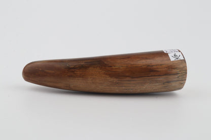 Restored woolly mammoth tusk tip