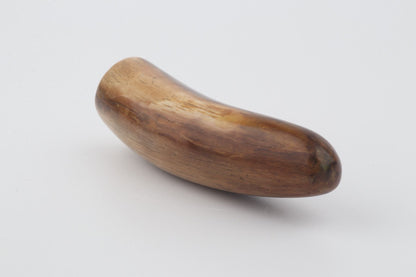Restored woolly mammoth tusk tip