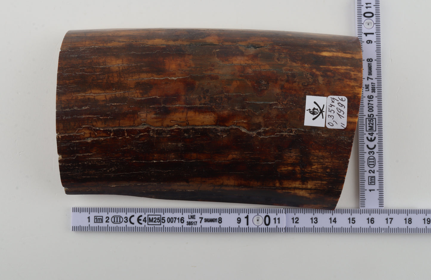 Brown-caramel mammoth bark