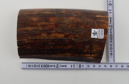 Brown-caramel mammoth bark