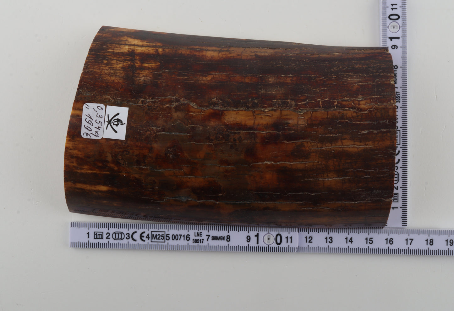 Brown-caramel mammoth bark