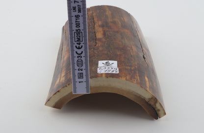 Brown-caramel mammoth bark