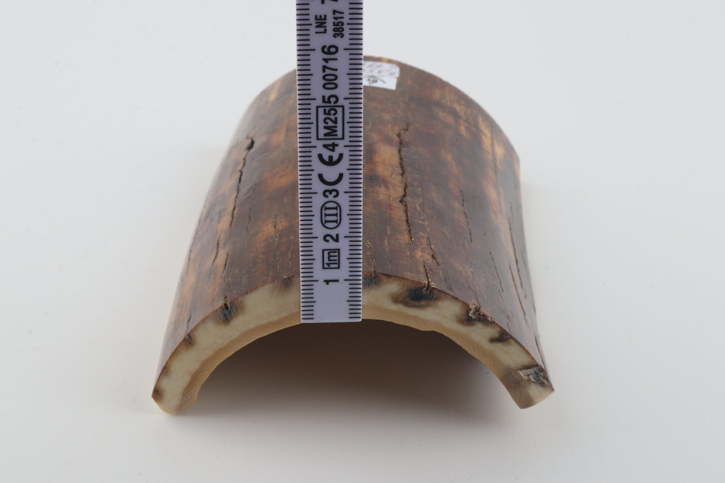 Brown-caramel mammoth bark