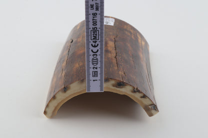 Brown-caramel mammoth bark