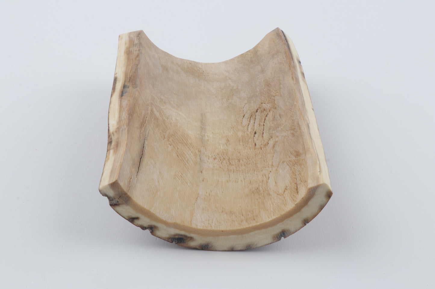 Brown-caramel mammoth bark