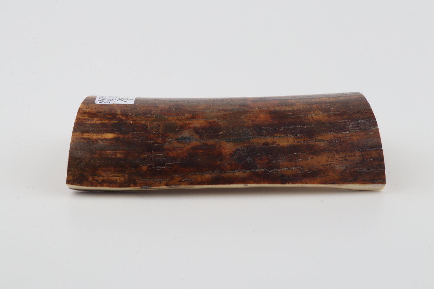 Brown-caramel mammoth bark