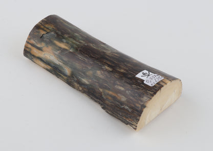 Natural mammoth ivory piece