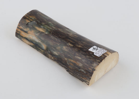 Natural mammoth ivory piece