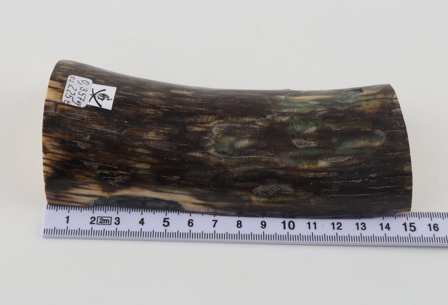 Natural mammoth ivory piece