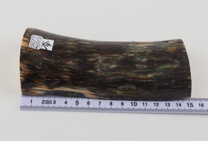 Natural mammoth ivory piece