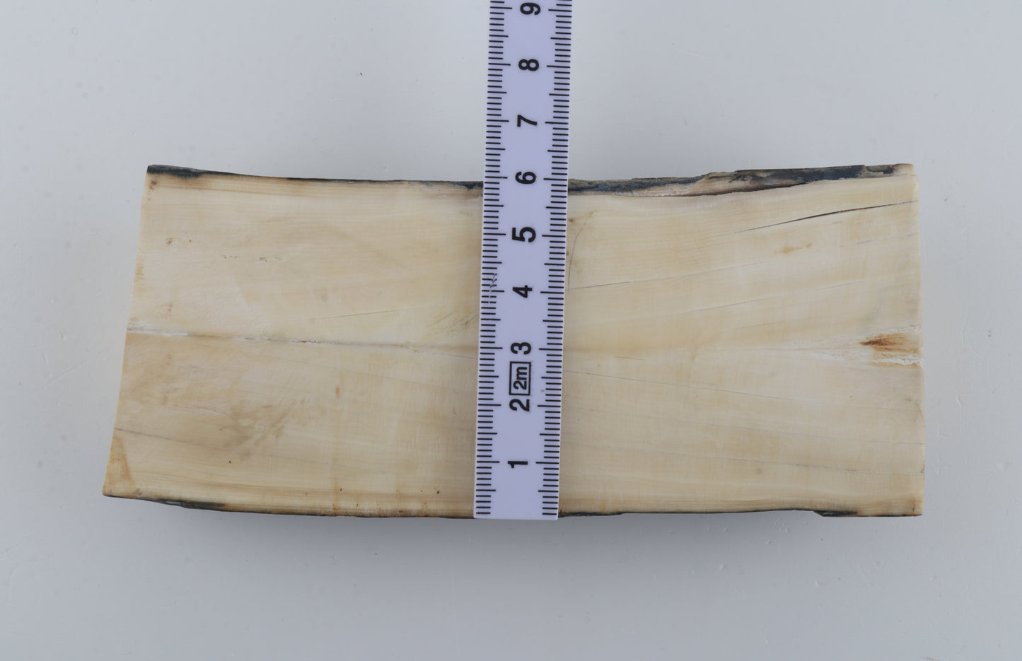 Natural mammoth ivory piece