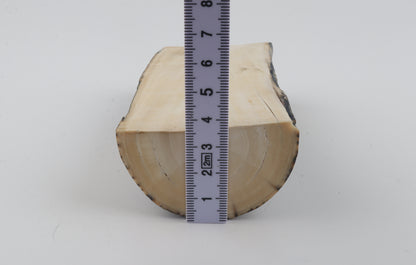 Natural mammoth ivory piece