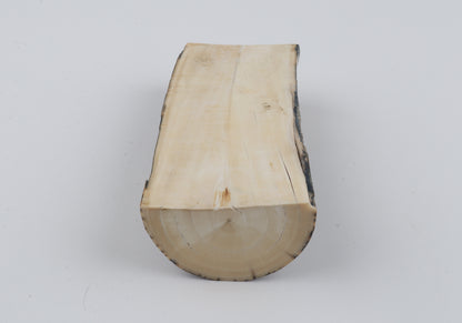 Natural mammoth ivory piece