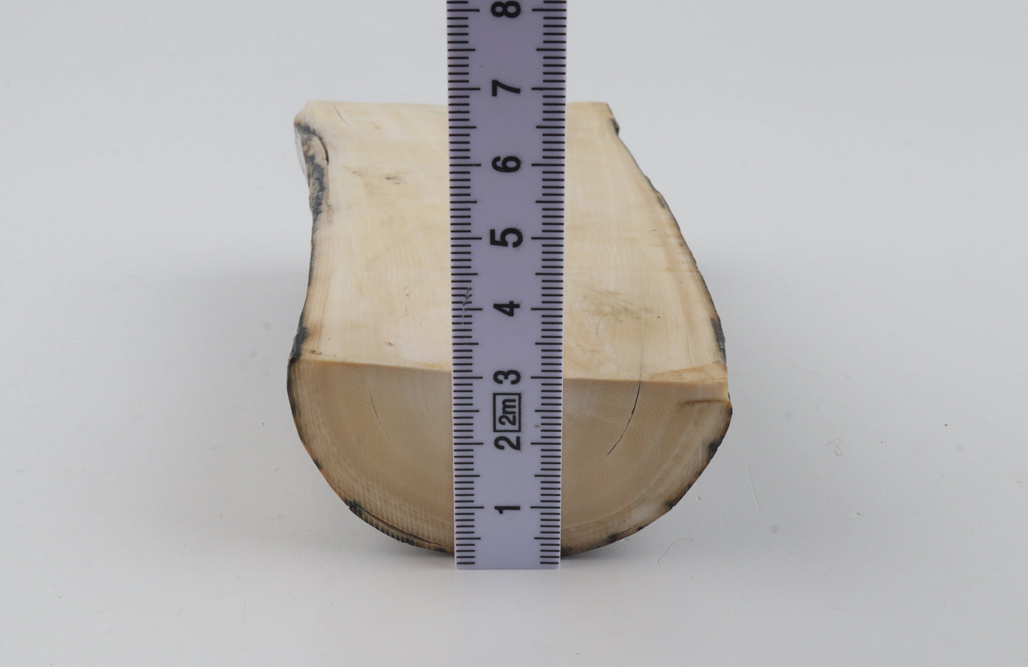 Natural mammoth ivory piece