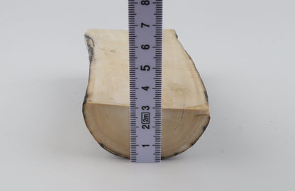 Natural mammoth ivory piece
