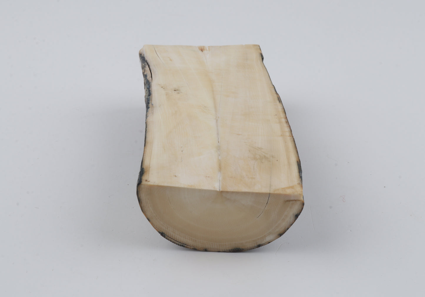Natural mammoth ivory piece