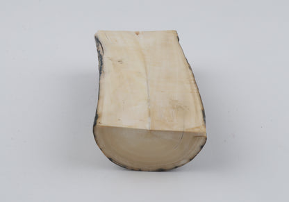 Natural mammoth ivory piece