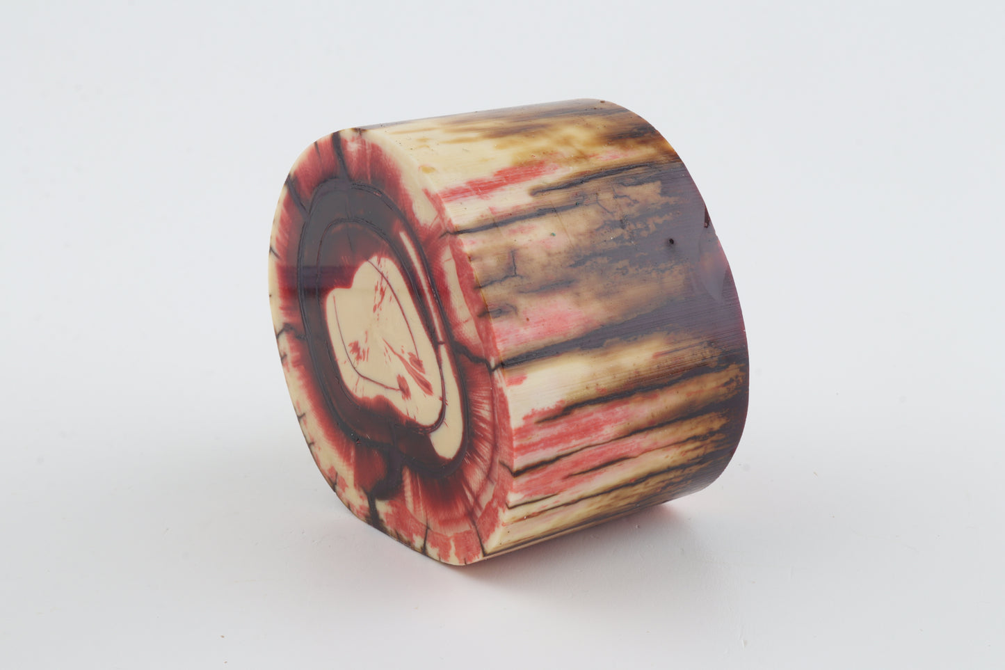 Stabilized mammoth tusk piece