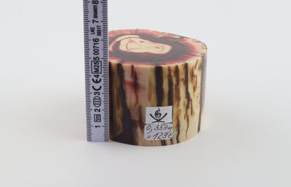 Stabilized mammoth tusk piece