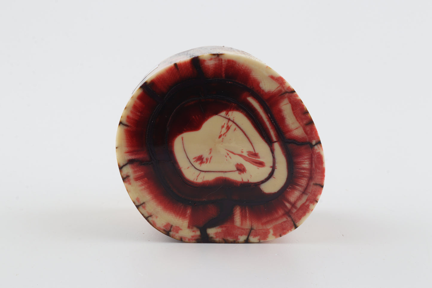 Stabilized mammoth tusk piece