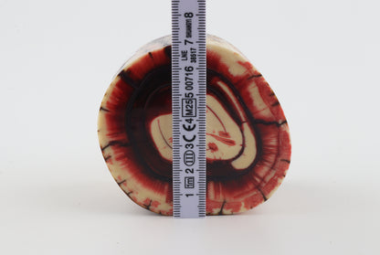 Stabilized mammoth tusk piece