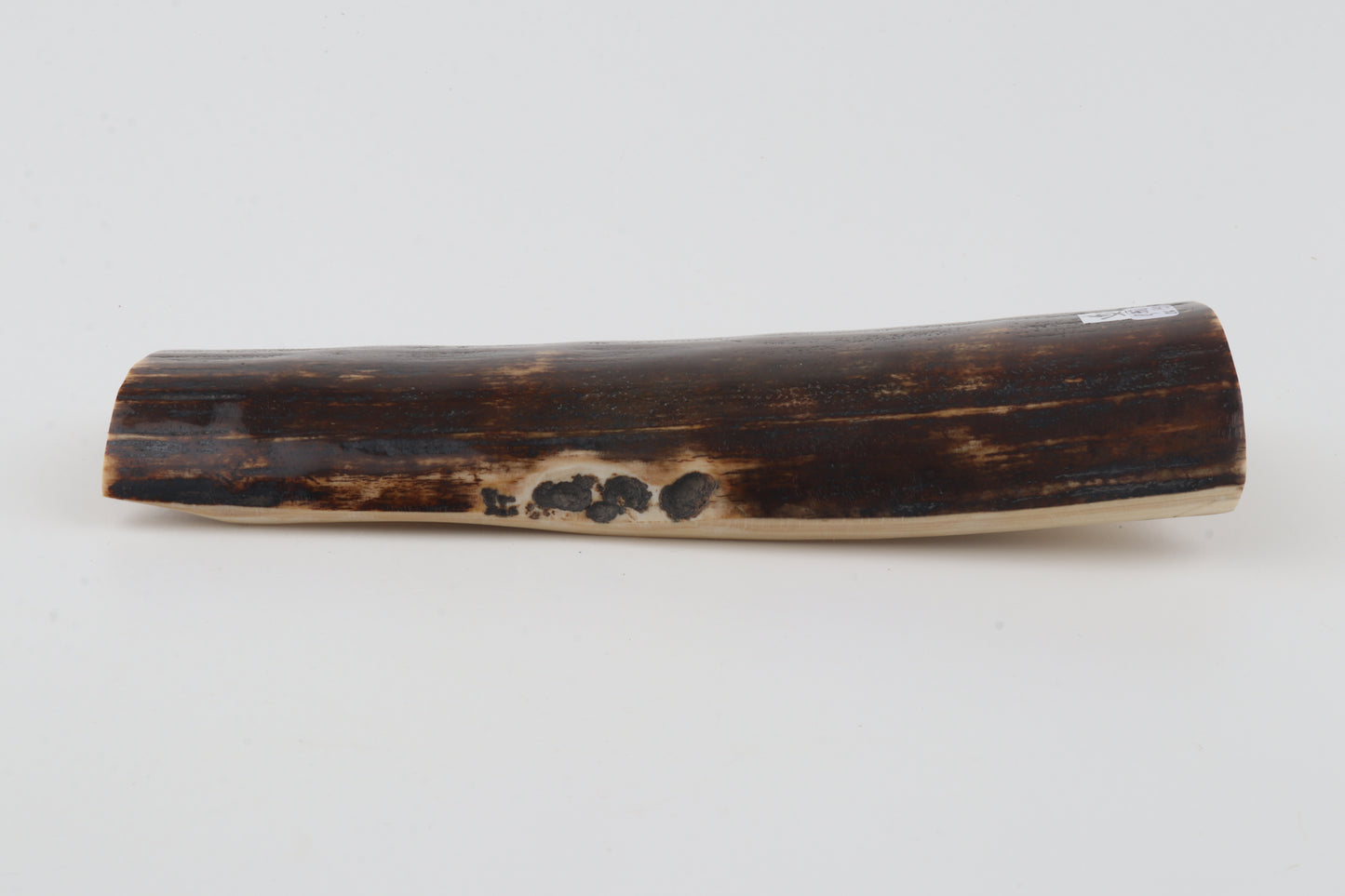 Brown mammoth bark