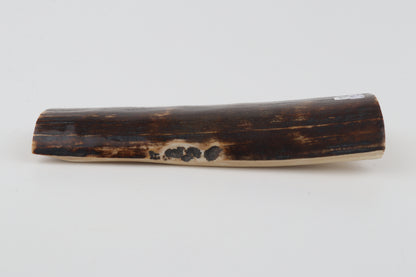 Brown mammoth bark
