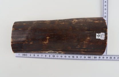 Brown mammoth bark