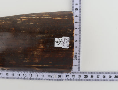 Brown mammoth bark