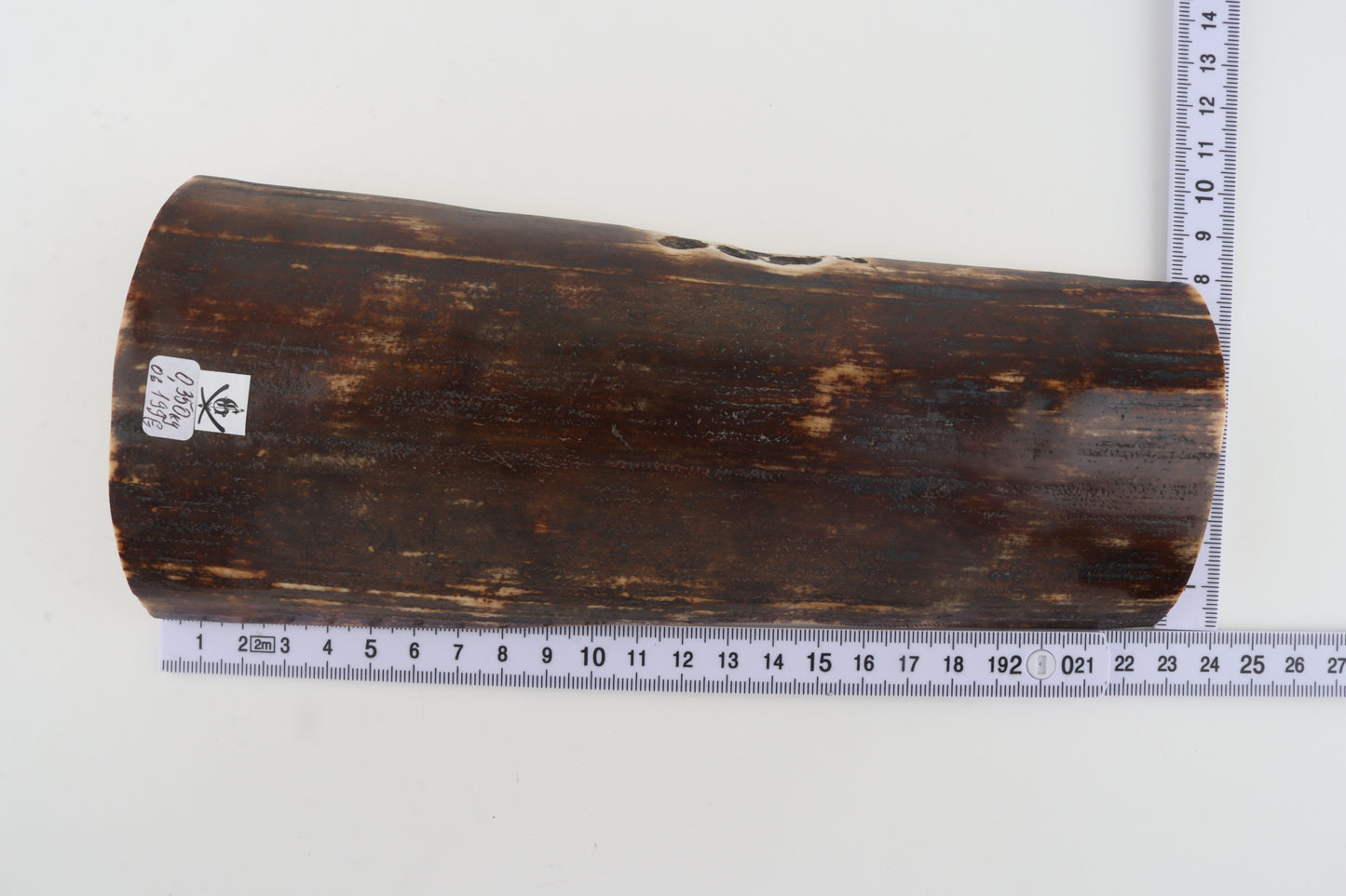 Brown mammoth bark