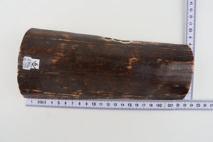 Brown mammoth bark