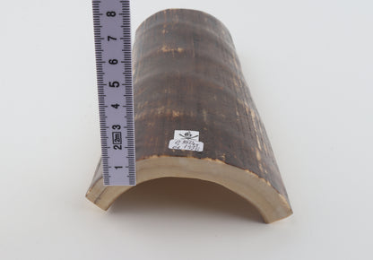 Brown mammoth bark