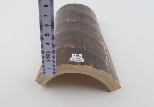 Brown mammoth bark